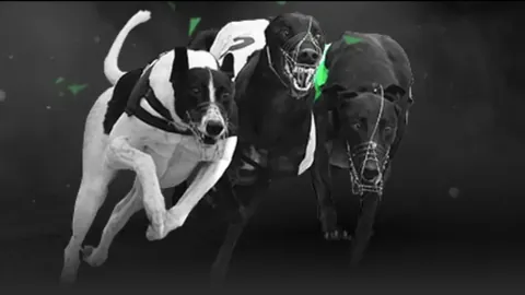 拜仁战胜美因茨，凯恩破门，格雷茨卡献助攻